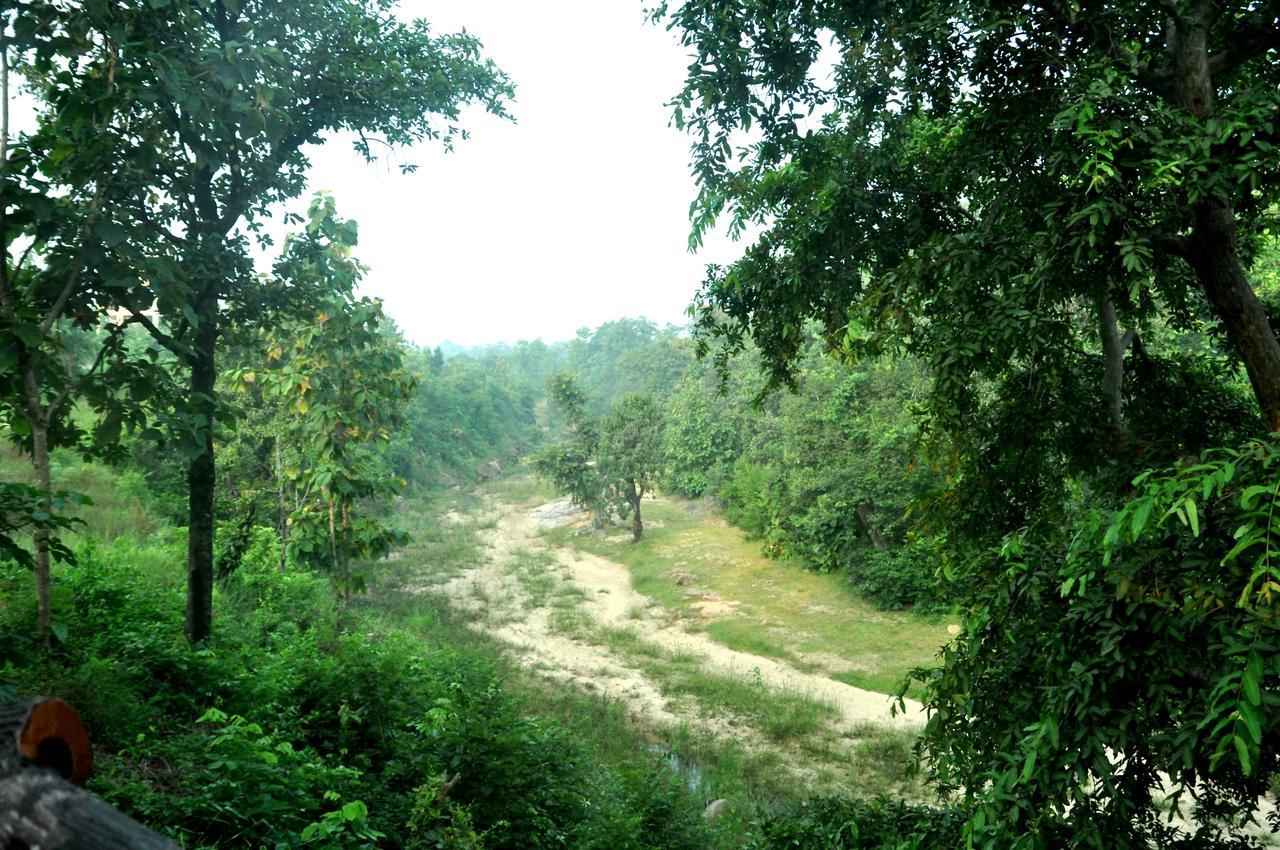 The Riverwood Forest Retreat Pench Khawasa Bagian luar foto