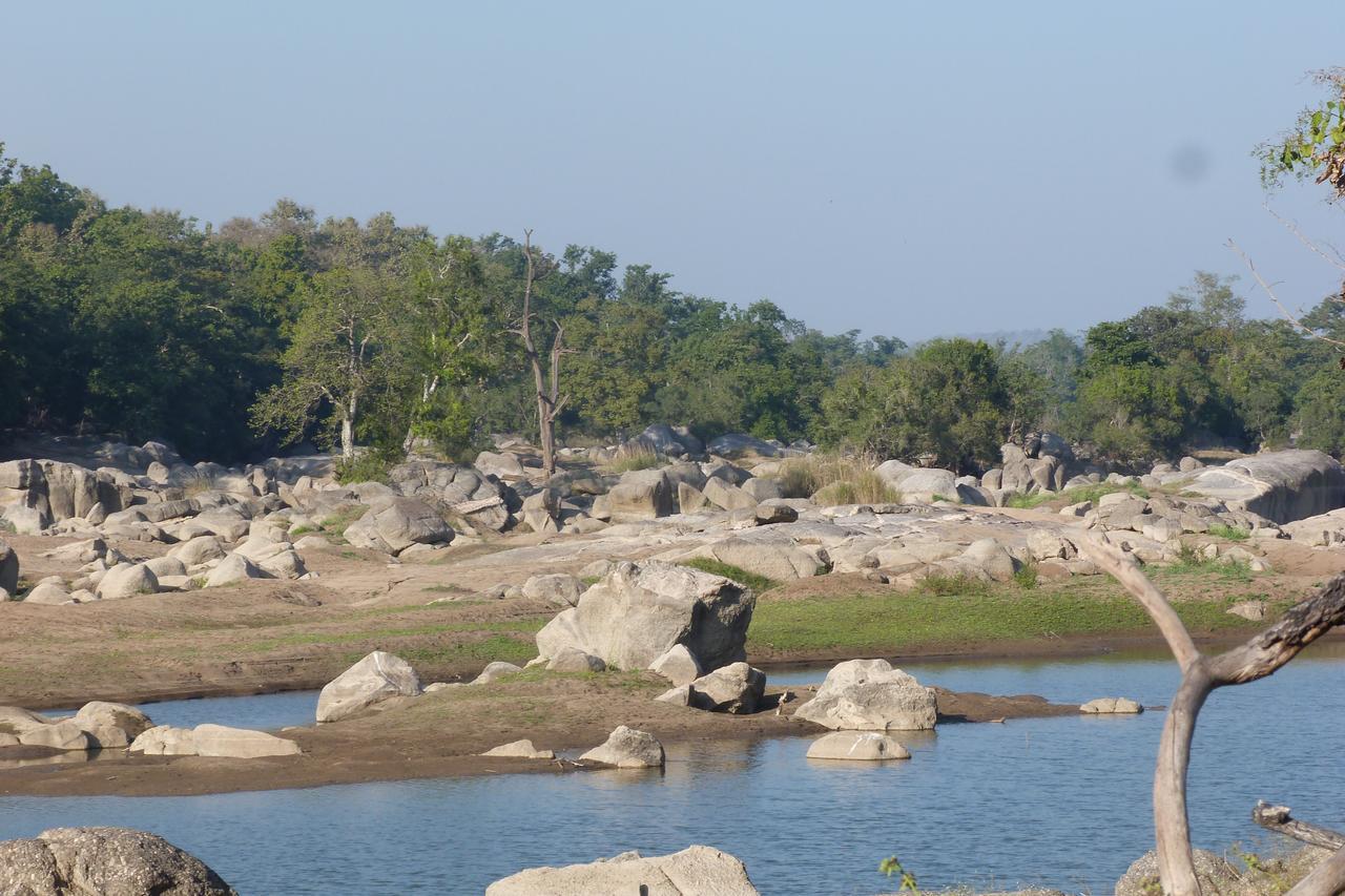 The Riverwood Forest Retreat Pench Khawasa Bagian luar foto